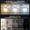 Flower Fan Light: 16.5-Inch Ceiling Fan with Light - thumbnail 3