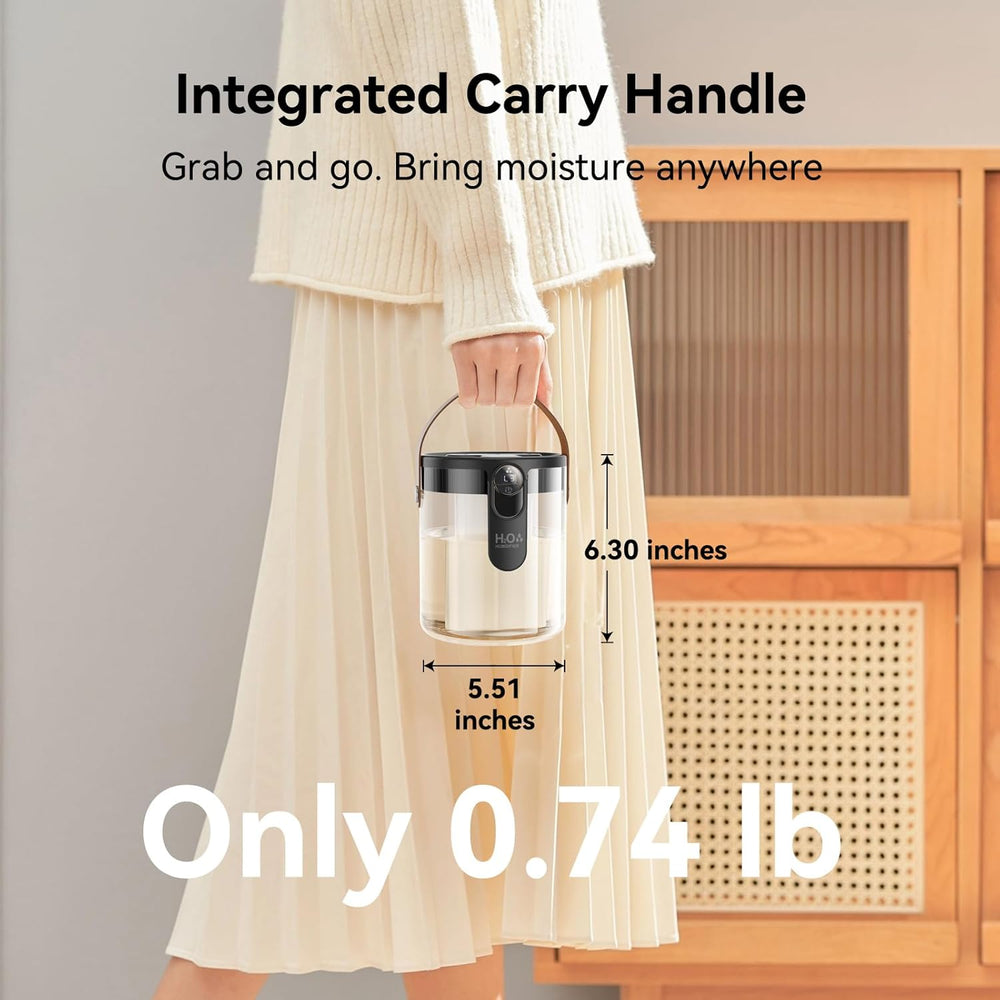 Dual-Spray Portable Humidifier