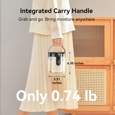 Dual-Spray Portable Humidifier