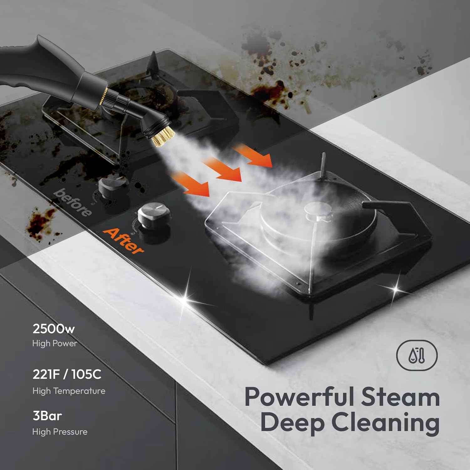Portable Steam Cleaner